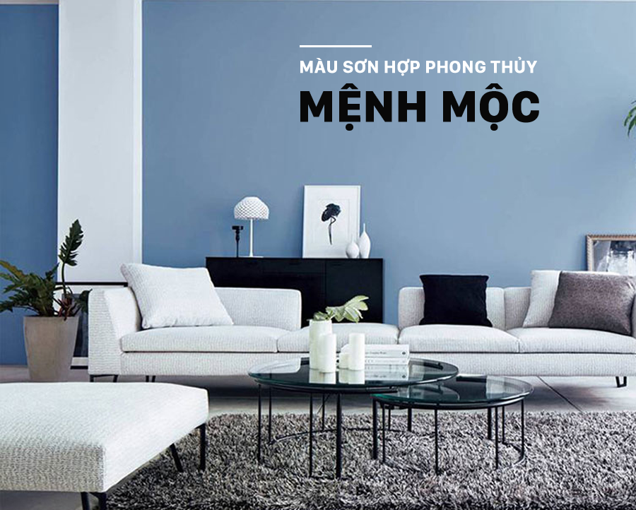 Màu sơn hợp phong thủy người mệnh Mộc - Queen Paint